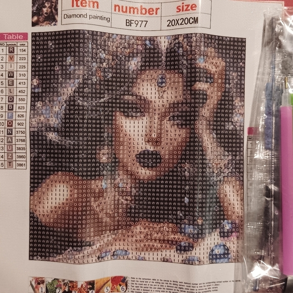 Other - Diamond Painting Kit with Woman Design 20x20